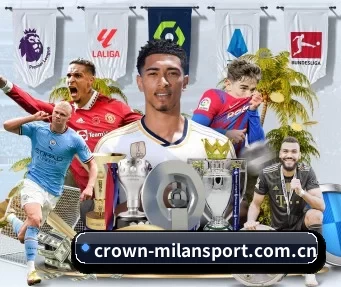 crown-milansport.com.cn APP